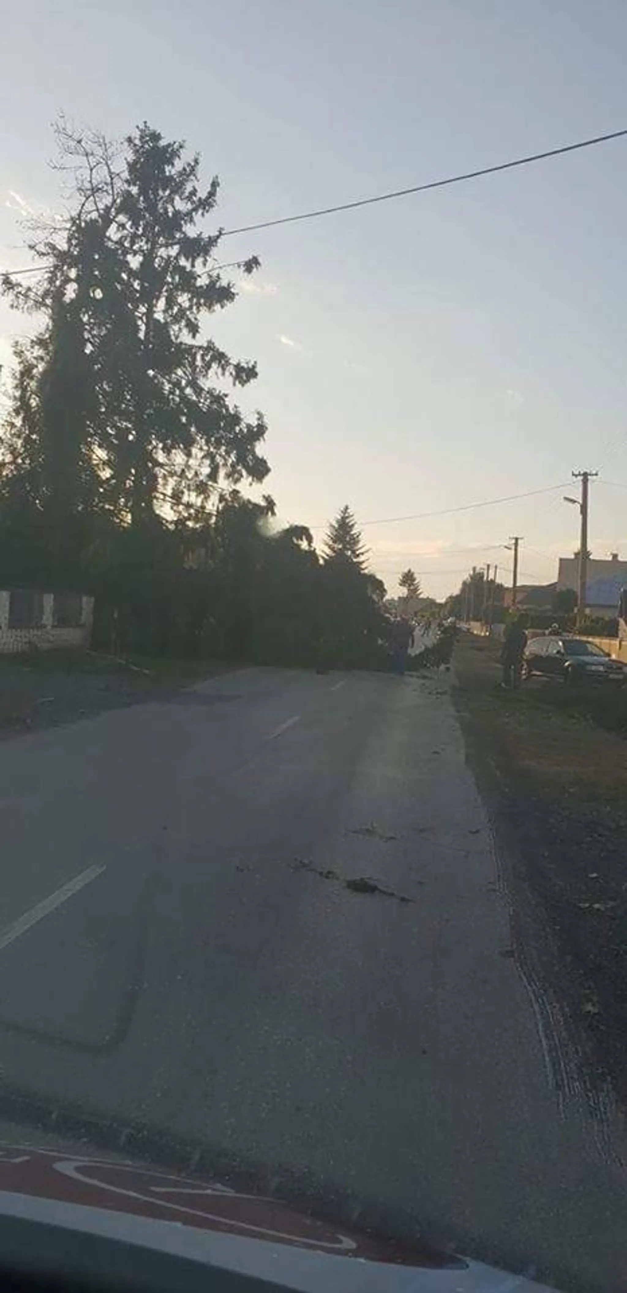 Spadnutý strom po smršti v obci Lekárovce.