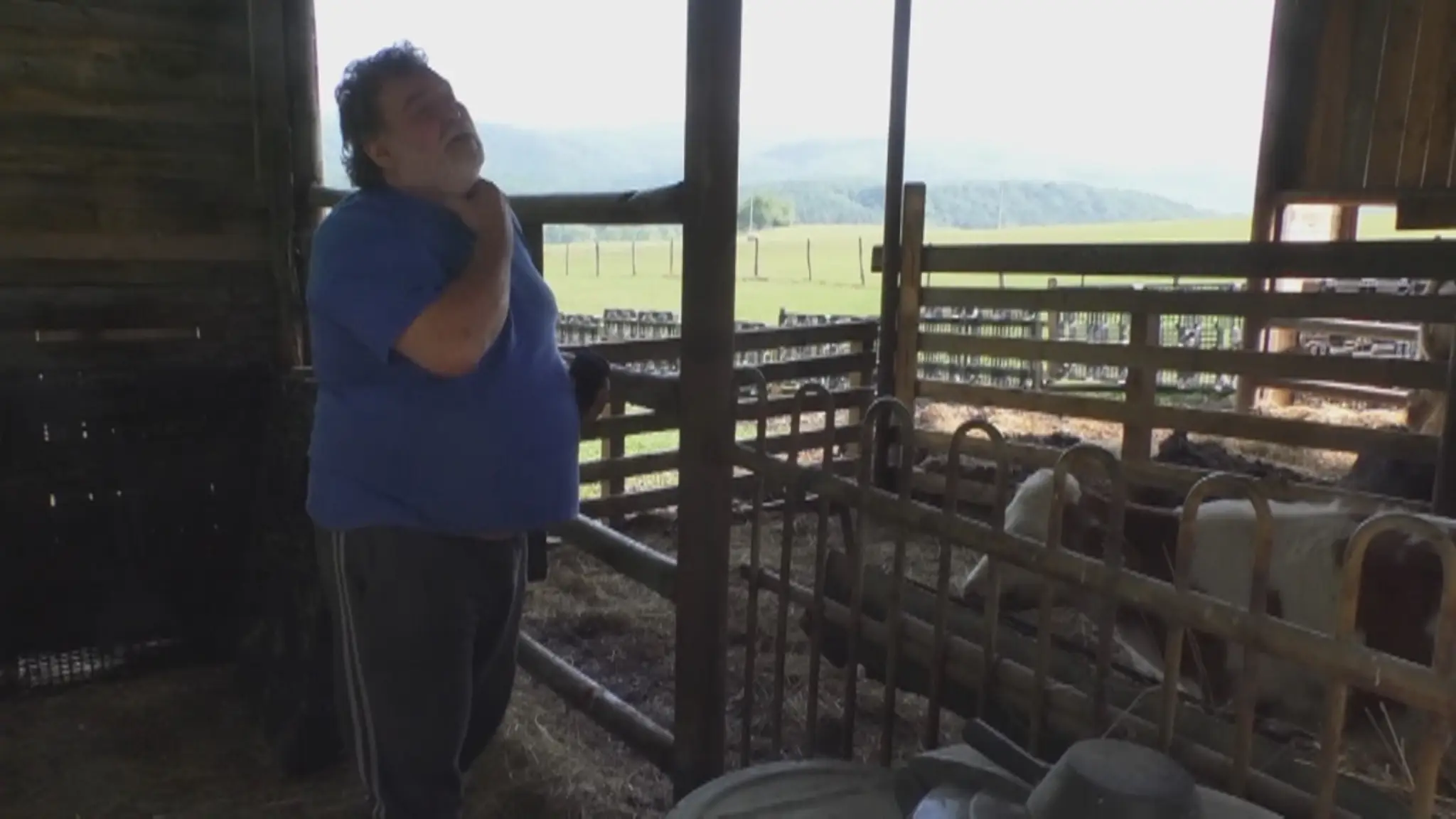 Majiteľ malej farmy nad obcou Nedožery - Brezany zažíva ťažké časy.