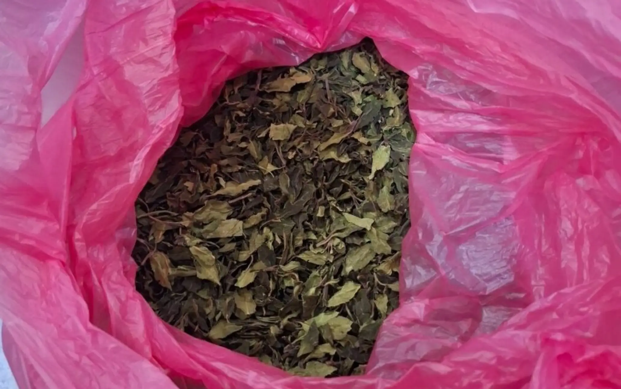 Zadržaná droga khat.