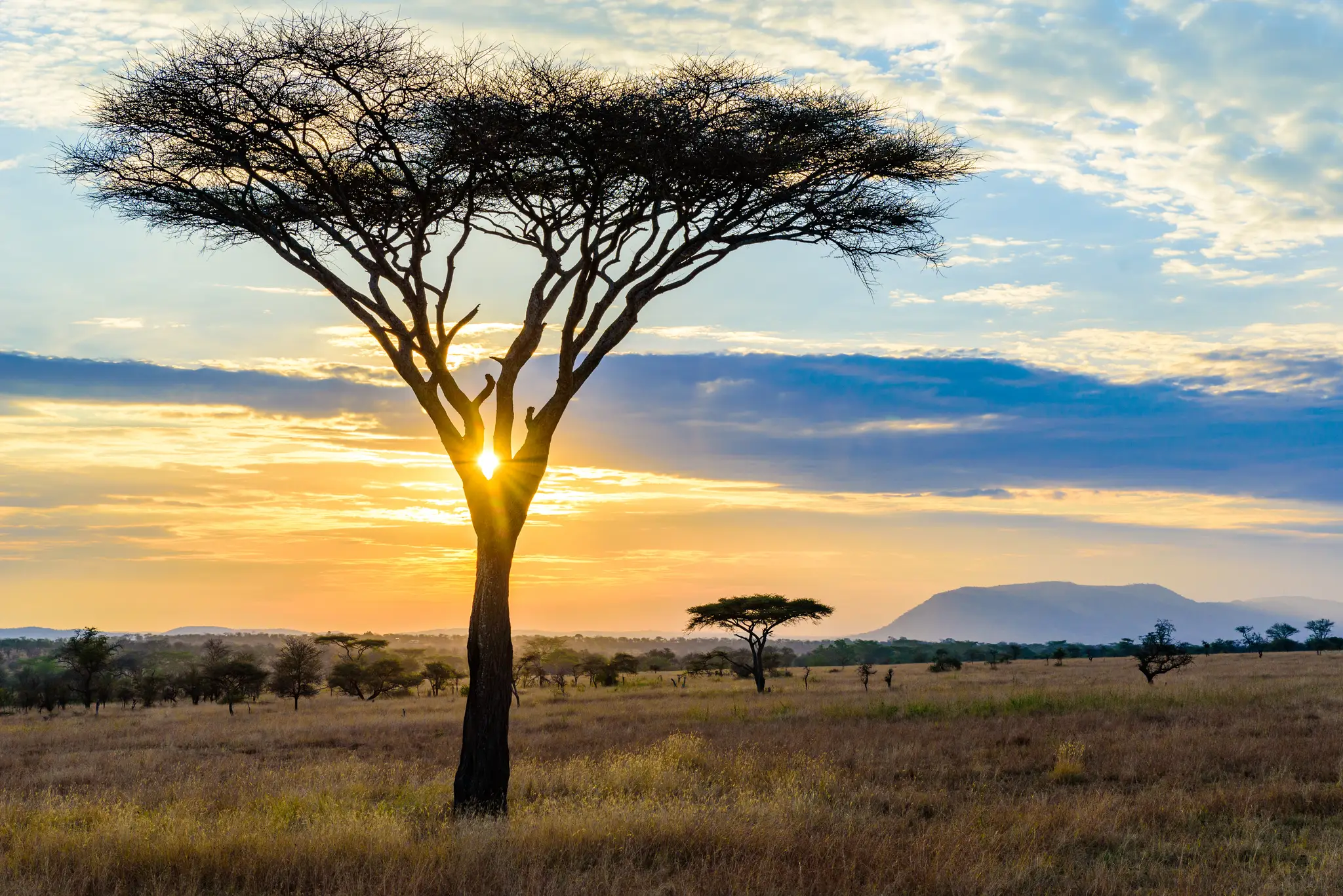 Afrika. Ilustračná snímka.