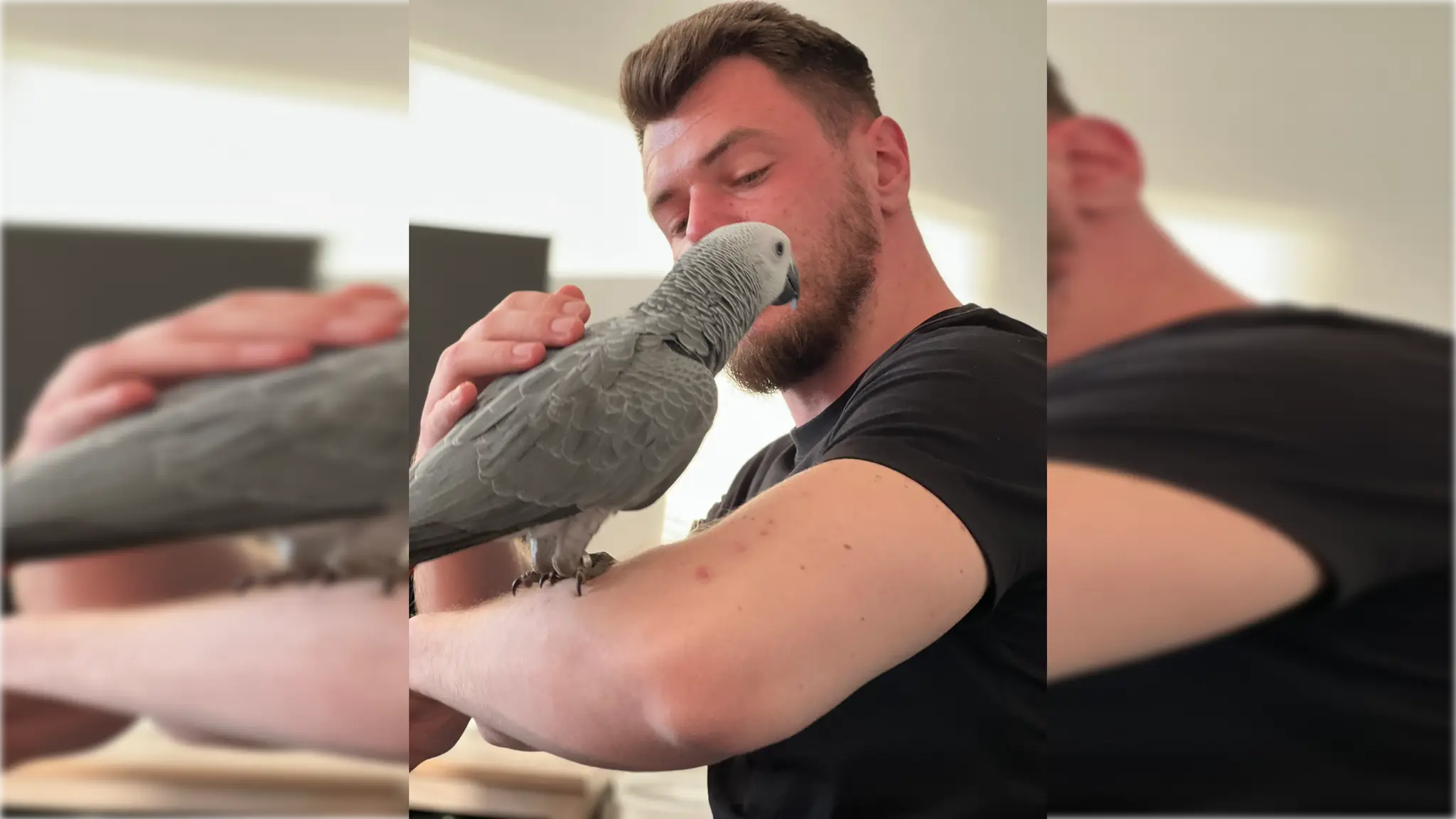 Hľadá sa papagáj Bobo. 