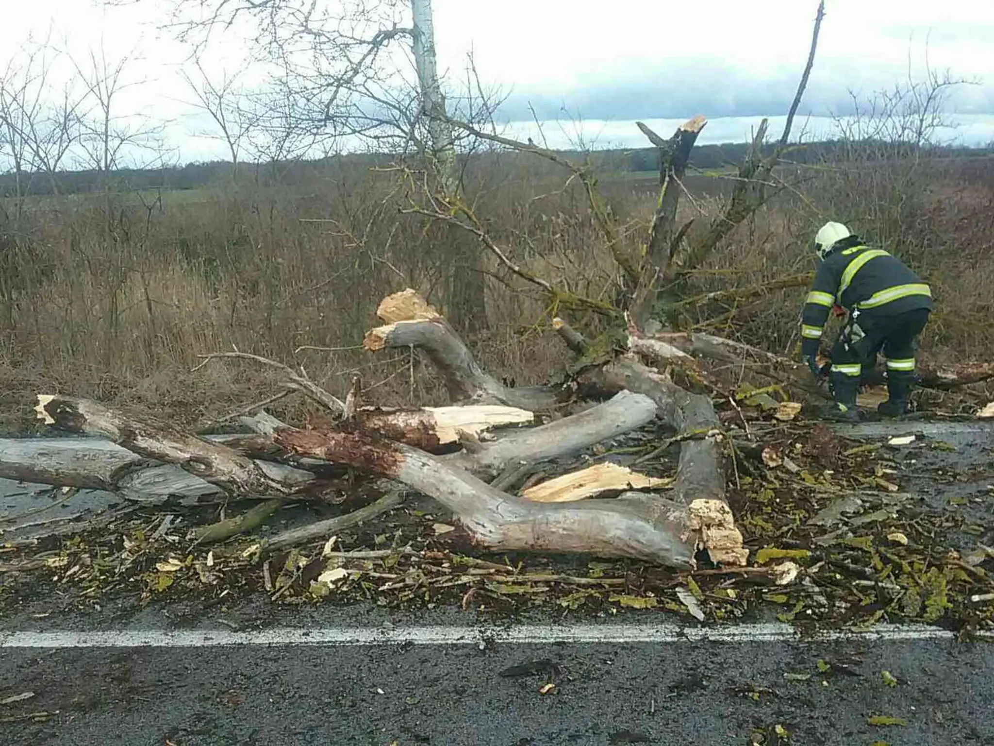 Moja malá princezná: 43. a 44. epizóda