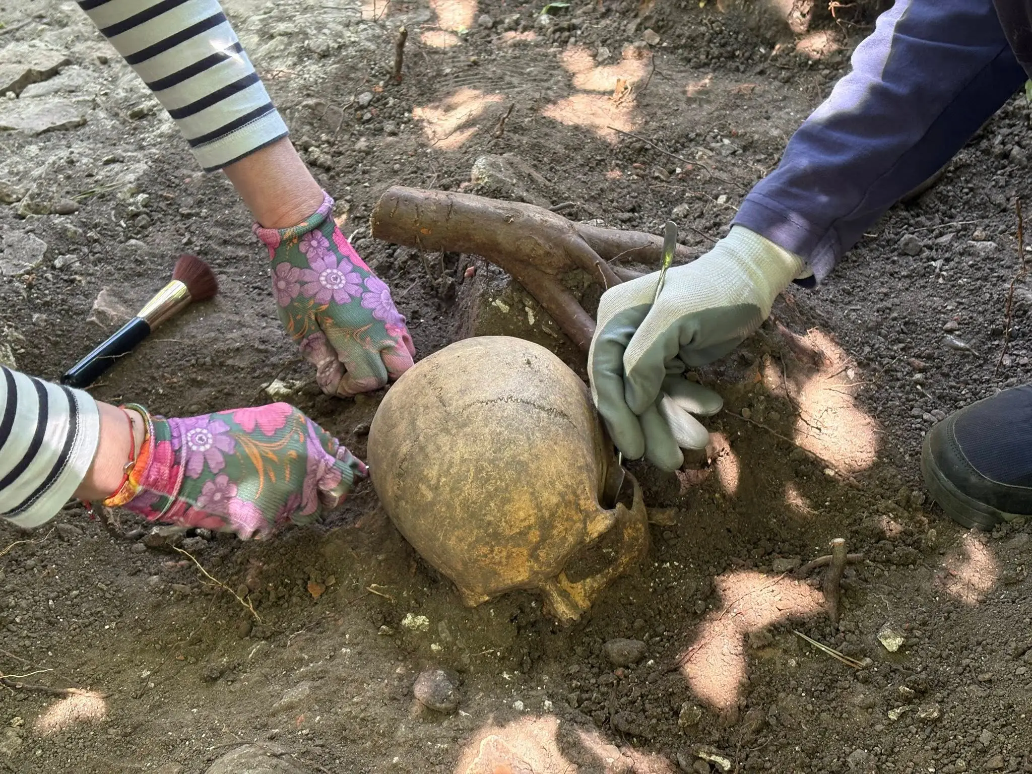 Archeologické nálezy na Stupavskej šibenici.