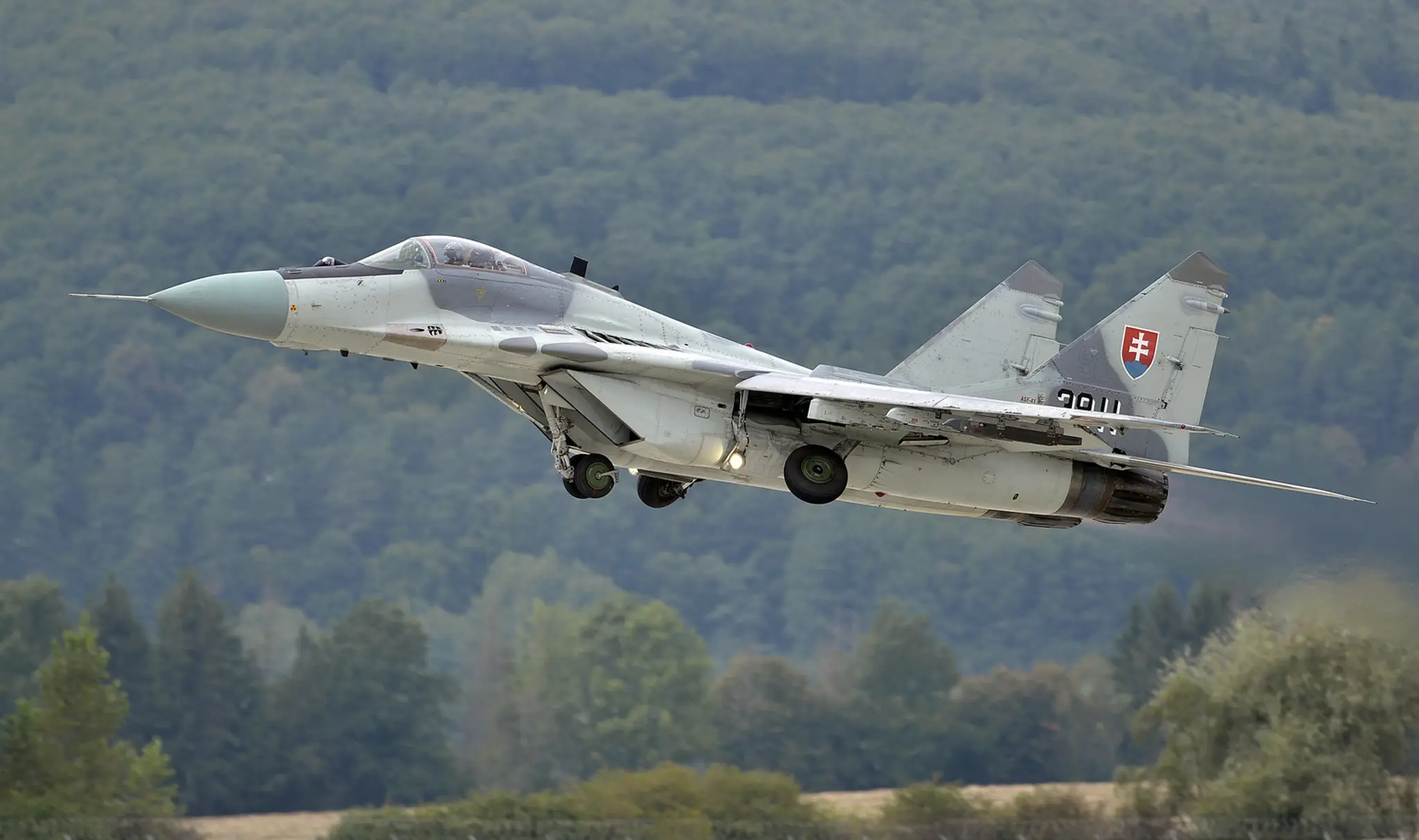 Mig-29AS vzdušných síl.