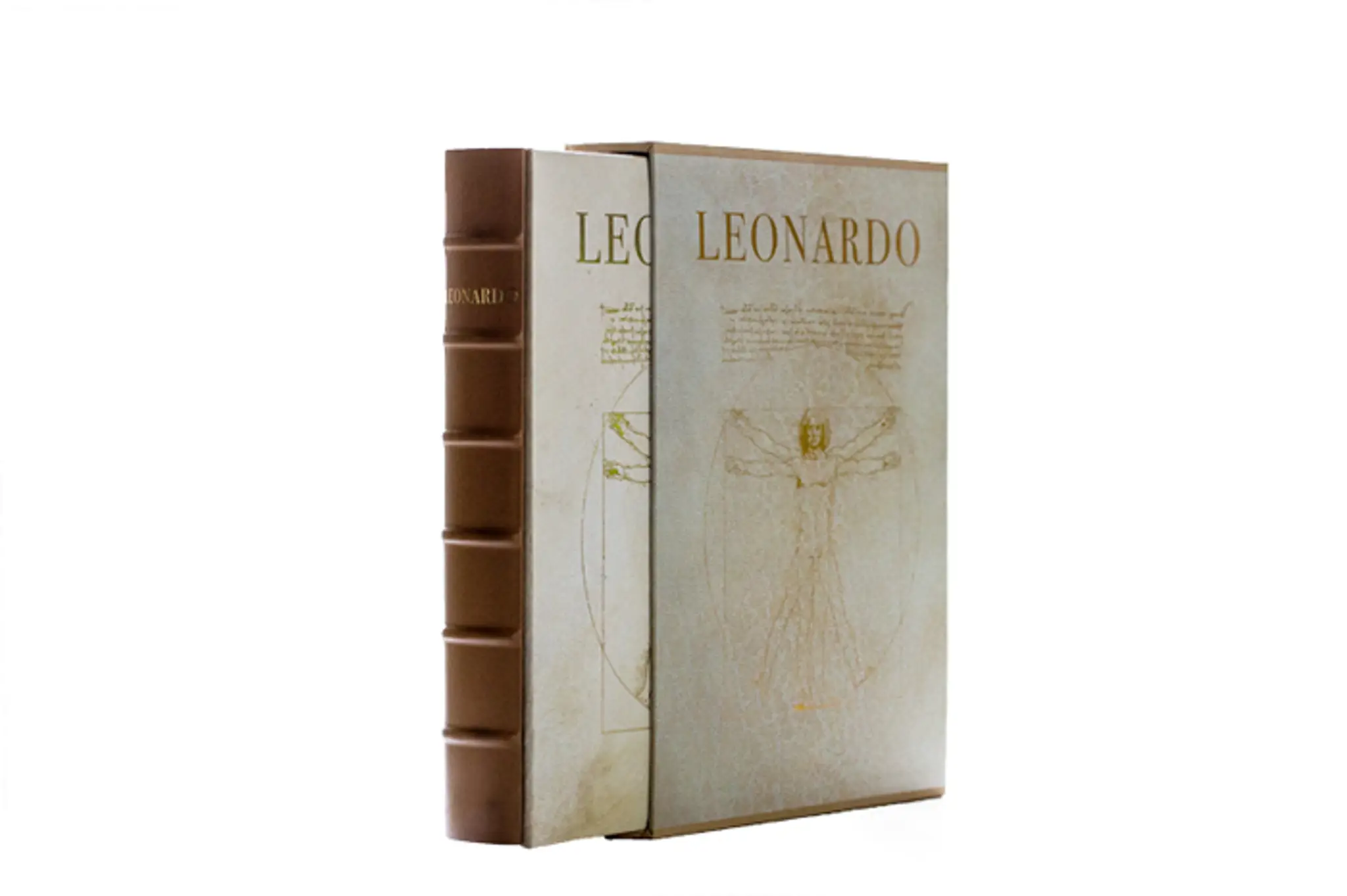 Monografia Leonardo.