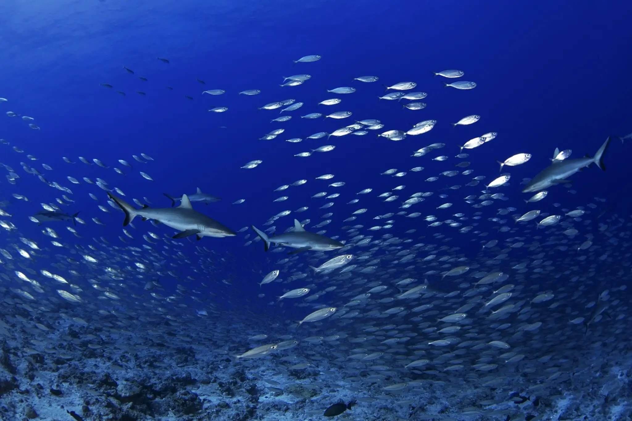 Ilustračná snímka.