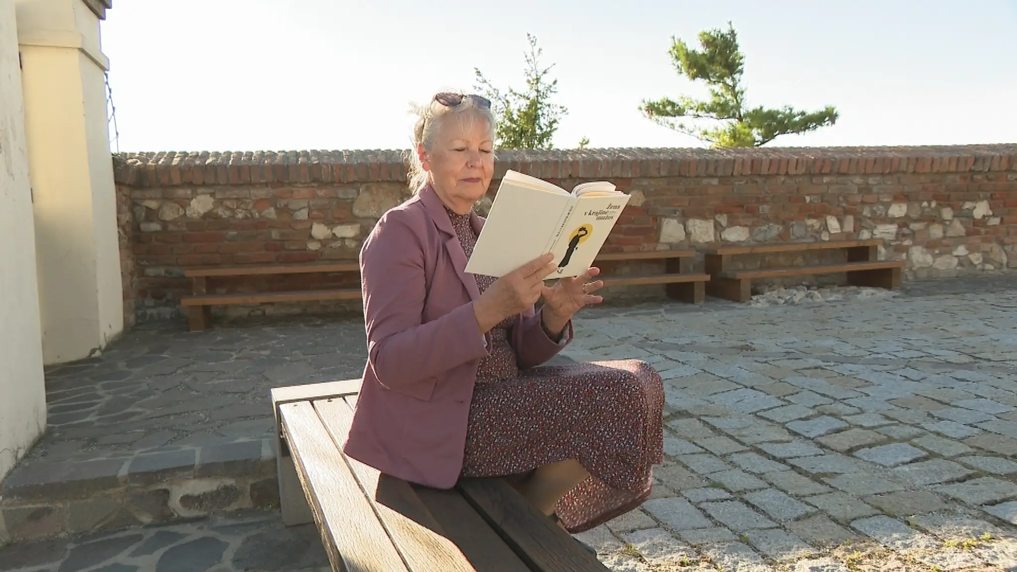 Dagmar Babčanová.