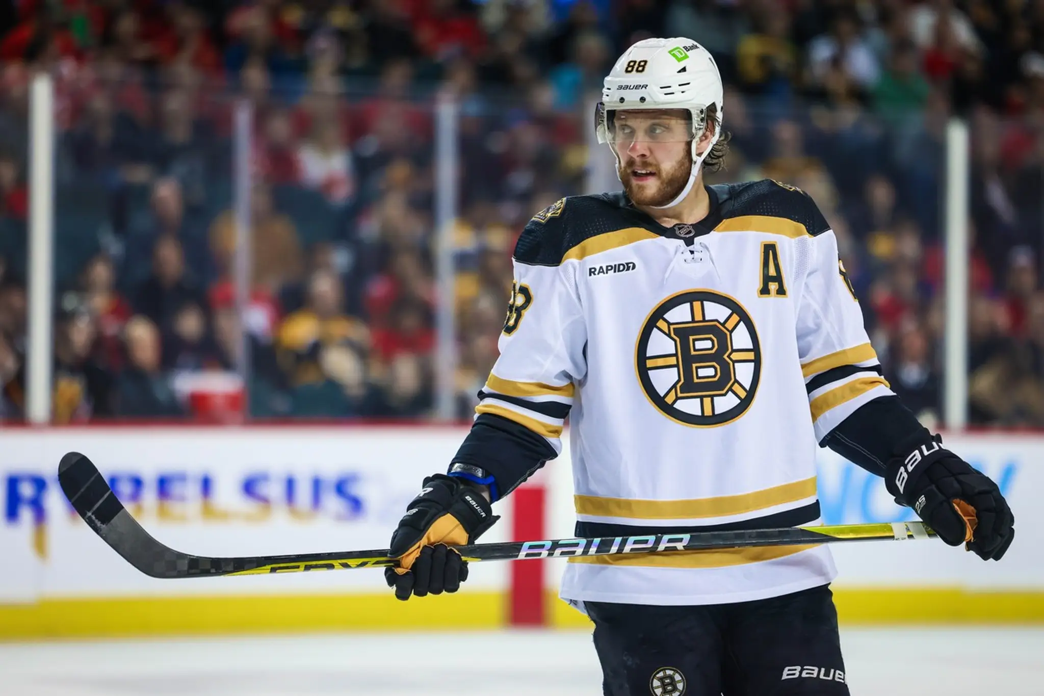 David Pastrnak