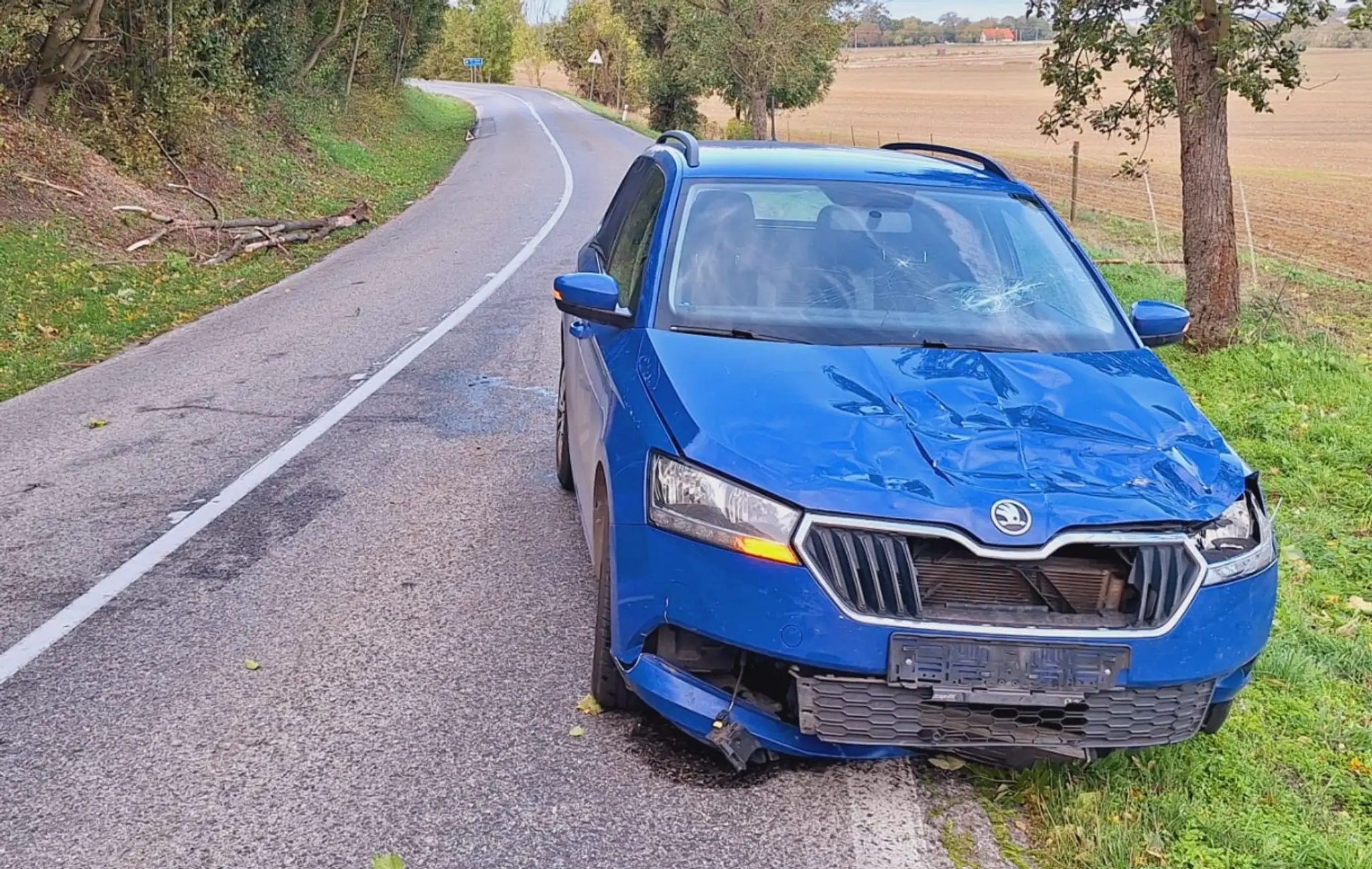 Zničené auto po tom, ako na vozidlo spadol strom.