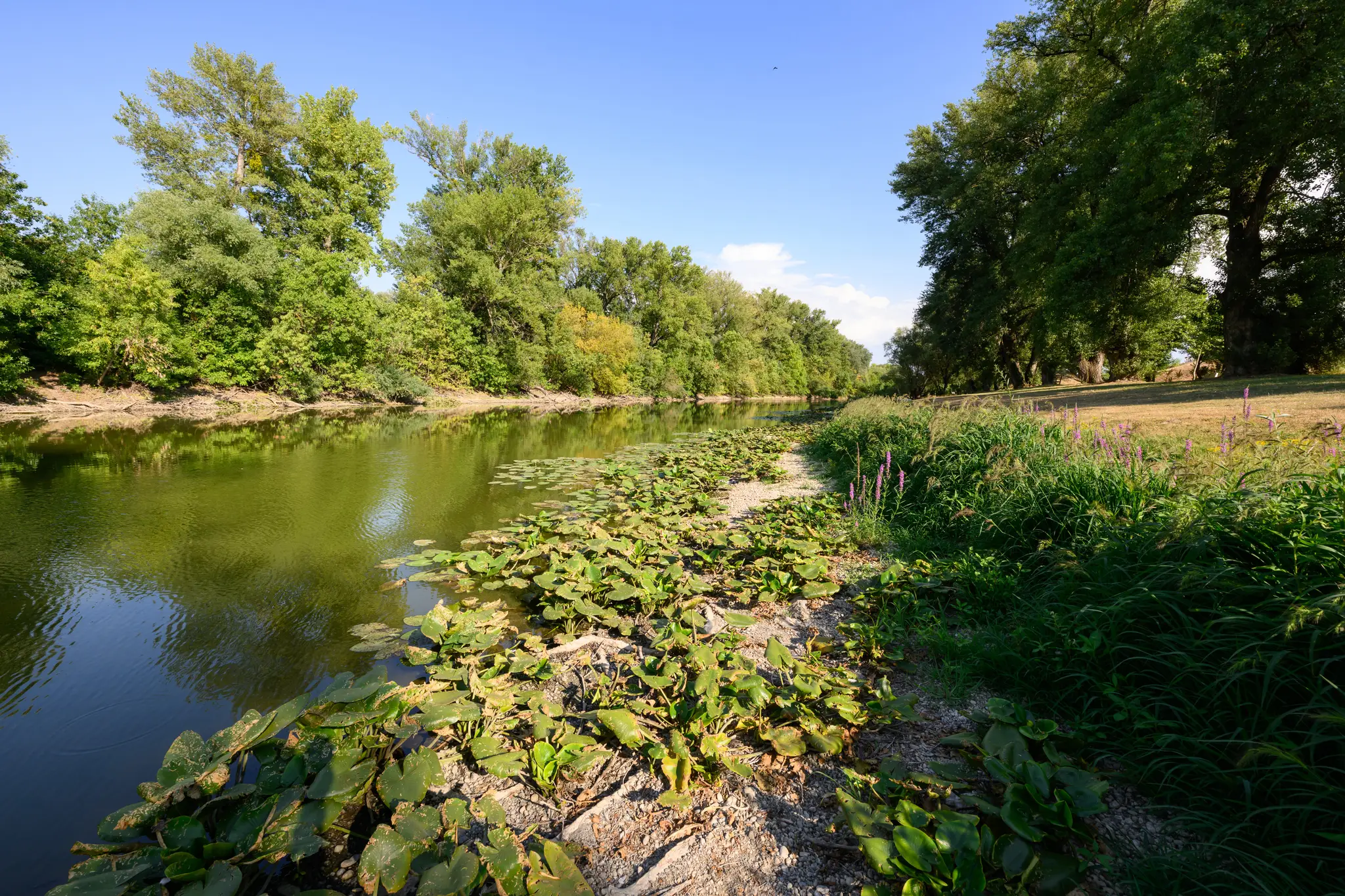 Kolárovo, Malý Dunaj.