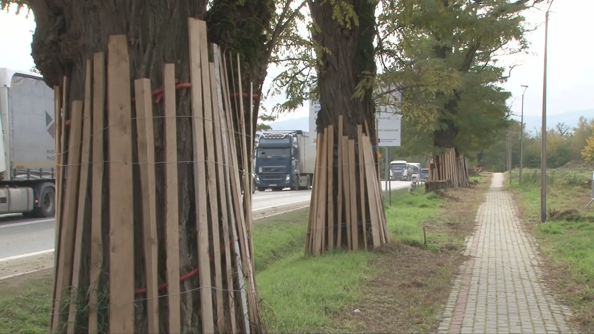 Výstavba cesty neďaleko agátovej aleje