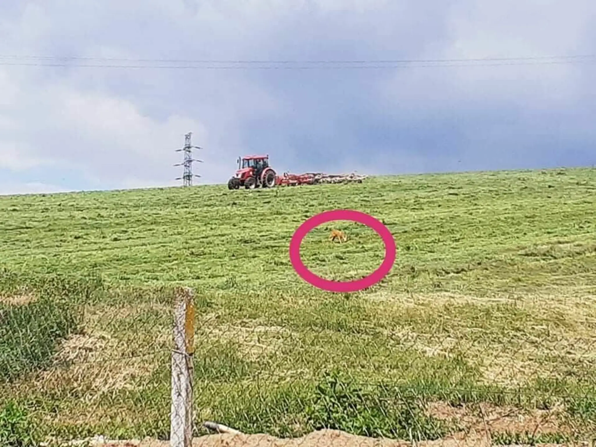 Protestujúci pred SES Tlmače.