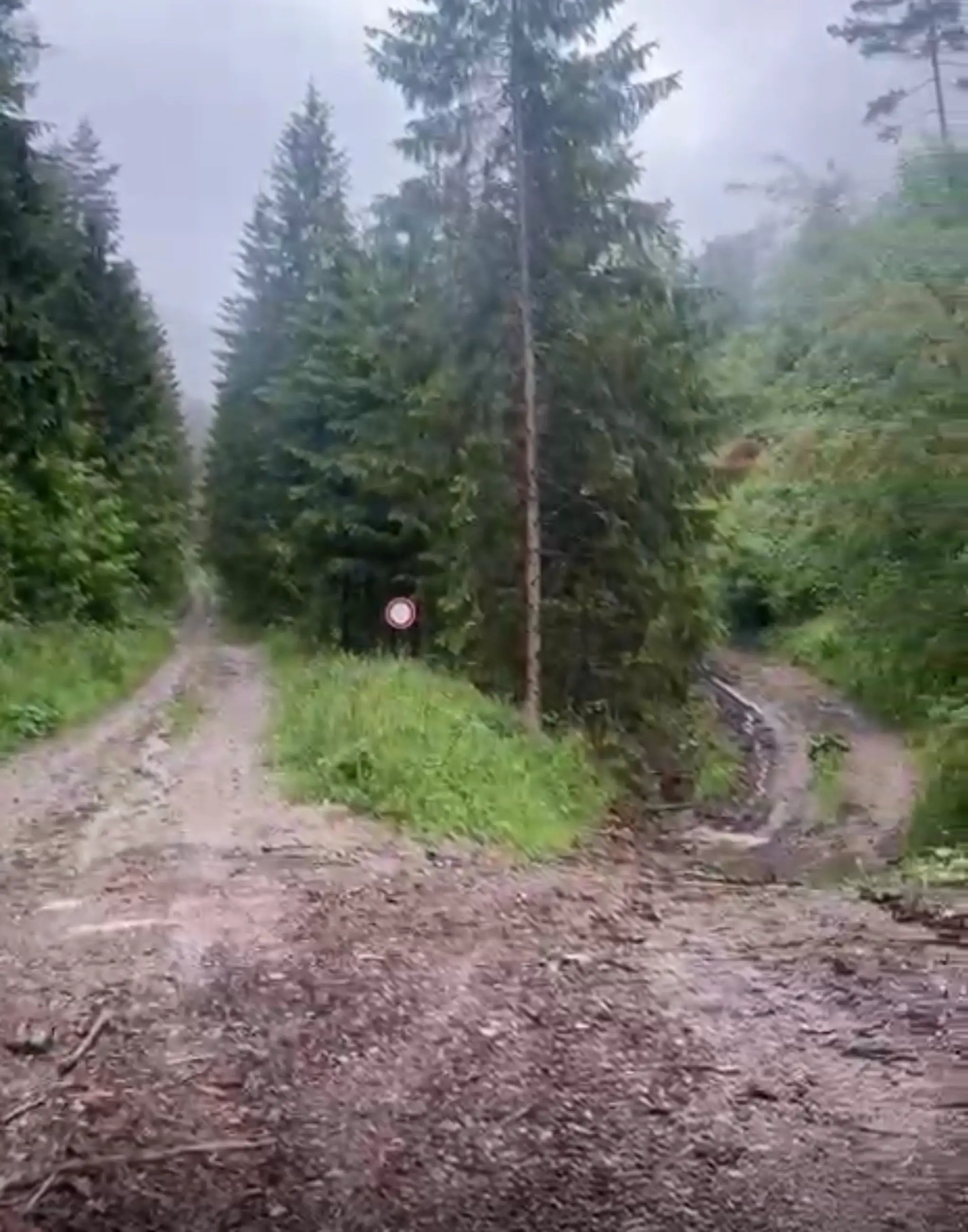 Lokalita, kde došlo k útoku medveďa na lesného pracovníka.