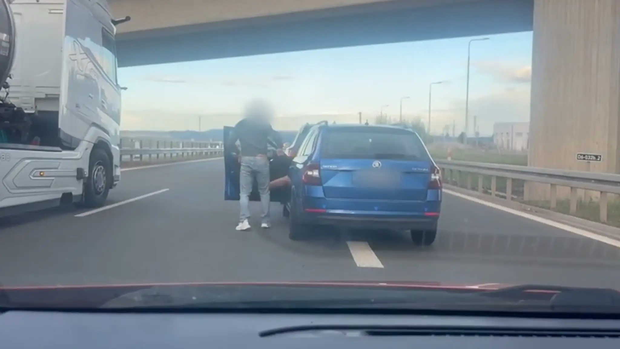 Vybrzdil ju na diaľnici a začal biť.