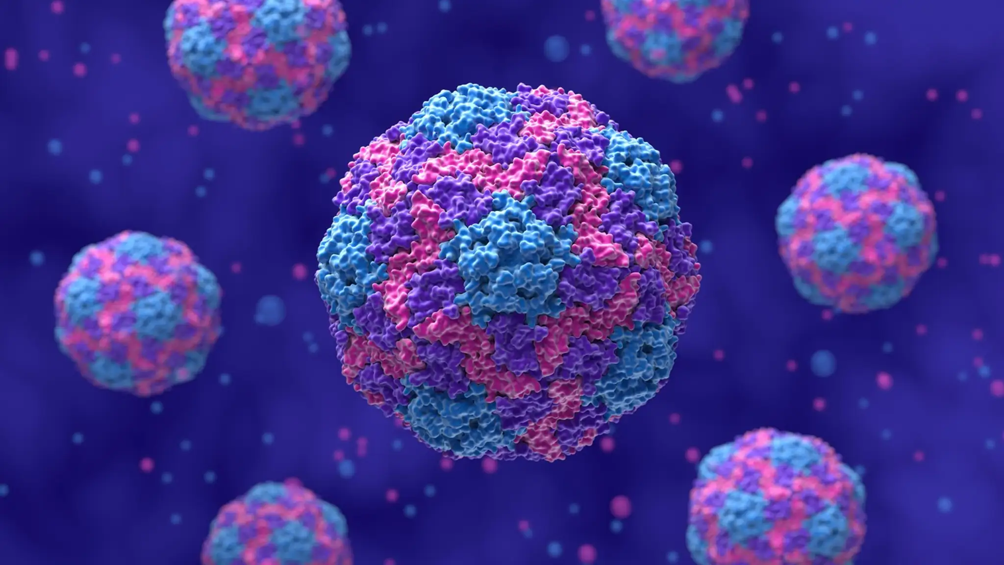 Vírus hepatitídy A (HAV) – 3D ilustrácia v polodetaile