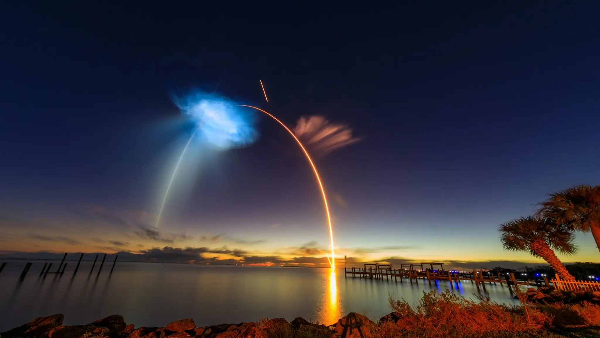 SpaceX jellyfish