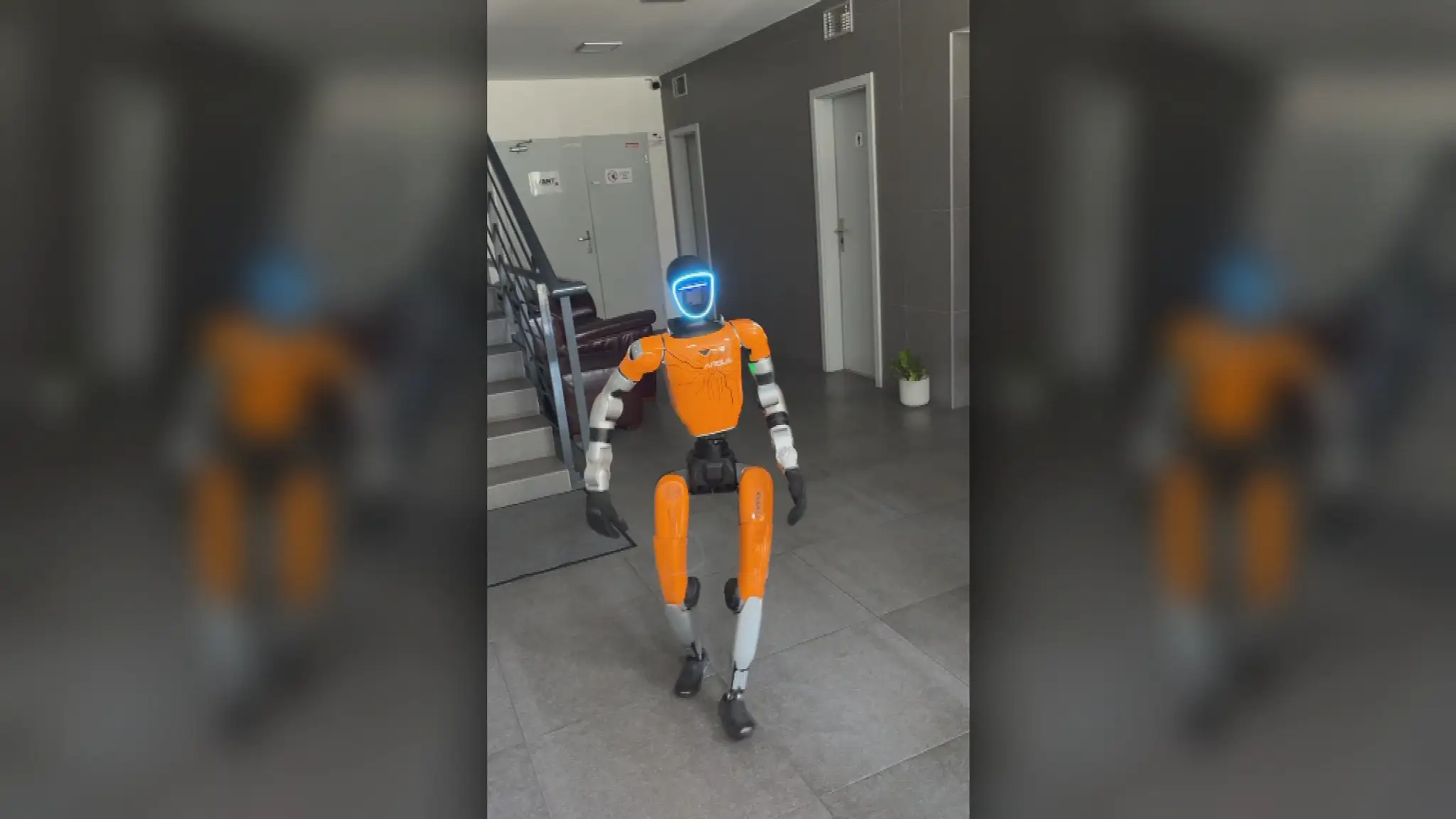 Robot Argus