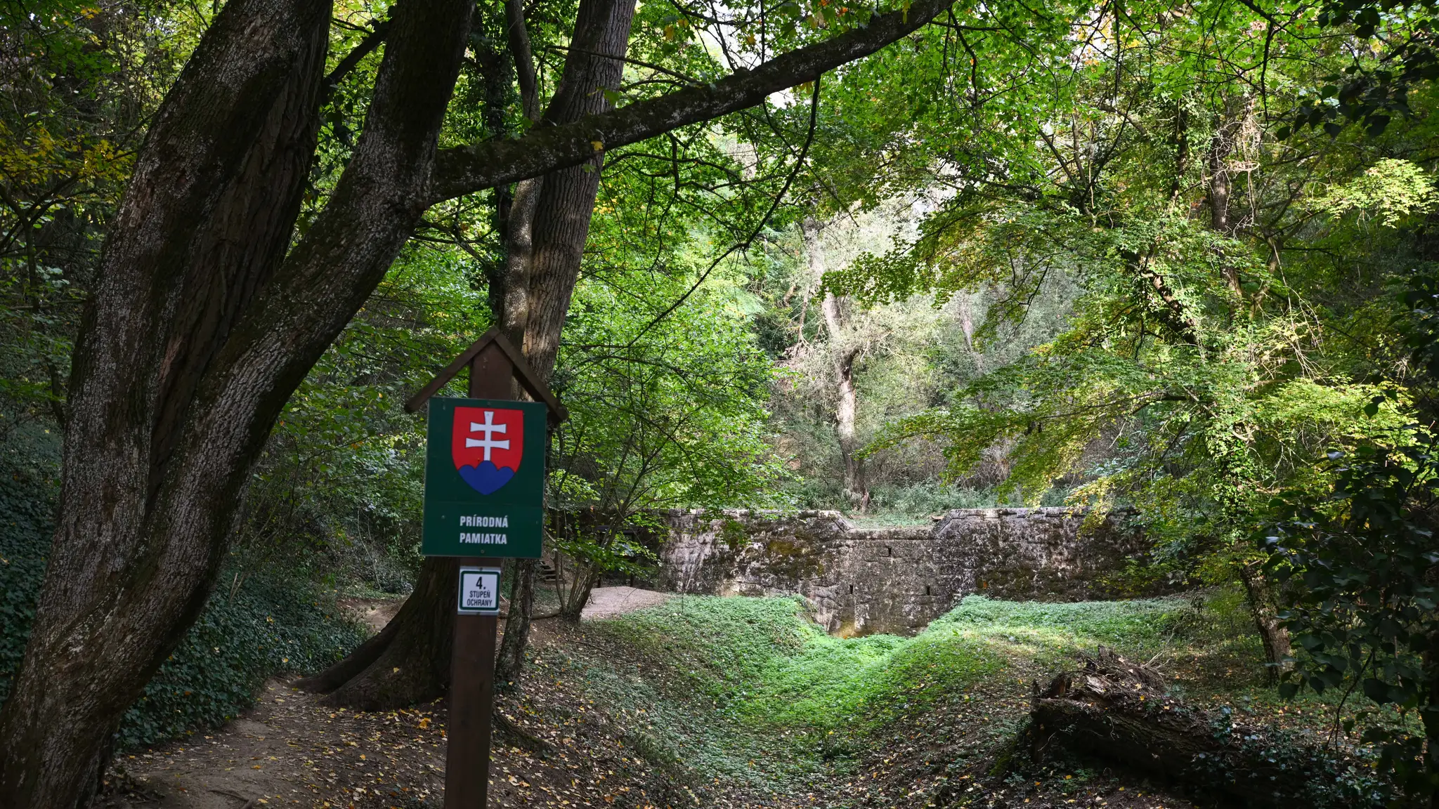 Haluzická tiesňava
