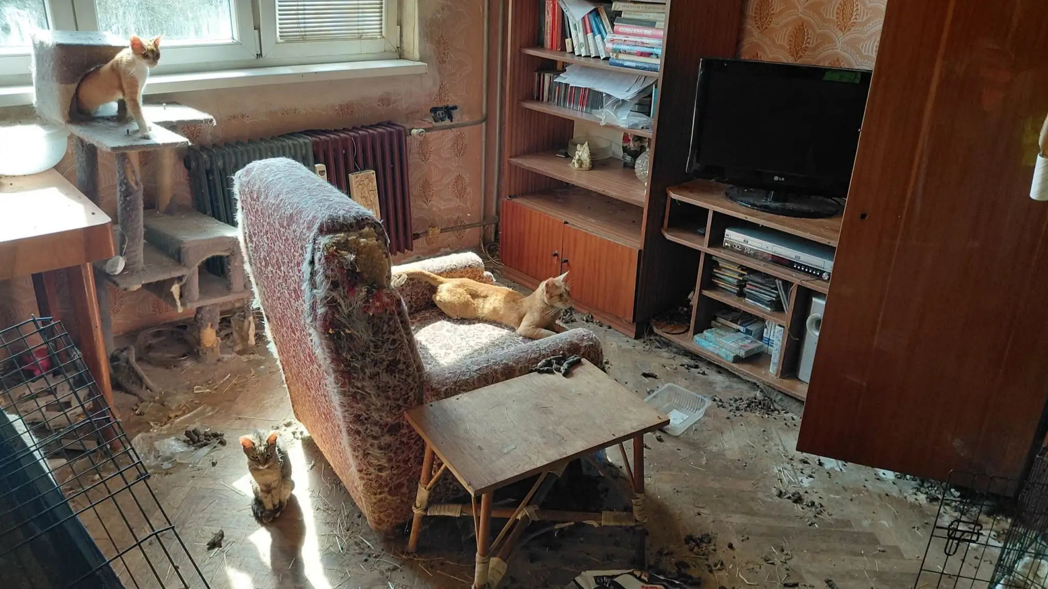 Katastrofálne podmienky a zanedbané zvieratá.