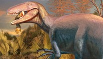 Mimoriadne obratný vrcholový predátor. Nový druh dinosaura by bol ideálnym záporákom vo filmovej sérii Jurský park