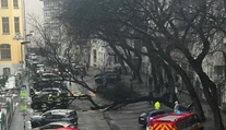 FOTO: V centre Bratislavy spadol obrovský strom. Zablokoval ulicu a poškodil autá