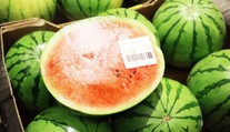 Takýto určite jedia aj mnohí z vás. Bývalá predavačka radí, aký melón si nikdy nekupujte