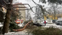 Chaos, popadané stromy aj zničené autá. Banskú Bystricu zavalil sneh (VIDEO)