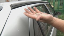 Ľudí pri Vranove vyľakal popolček. Mali ho všade