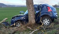 Tragický záver mesiaca pri Piešťanoch. Náraz do stromu neprežil 66-ročný muž