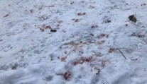 Brutálny útok zo žiarlivosti. V obci Cígeľ napadol muž soka v láske, takmer ho dobil na smrť