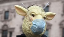 Ľudia, ktorí ešte donedávna odmietali rúška, sa nimi teraz chcú chrániť pred očkovanými