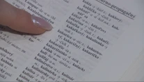 Slovo roka 2025 je vo svete jasné, ale slovenskí jazykovedci majú úplne iný tip. Prekvapí vás?