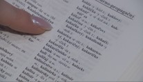 Slovo roka 2025 je vo svete jasné, ale slovenskí jazykovedci majú úplne iný tip. Prekvapí vás?