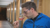 Degustátori či sládkovia sú ako na ihlách. Ak by prišli o niektorý zo zmyslov, zostali by bez práce