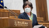 Parlament bol svedkom nechutnej diskusie. Rozdelila koalíciu, spojila Smer s kotlebovcami