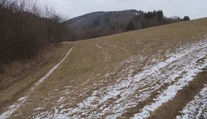 Rodinná prechádzka sa zmenila na drámu. Na manželov s deťmi zaútočil muž so sekerou