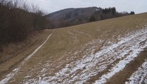 Rodinná prechádzka sa zmenila na drámu. Na manželov s deťmi zaútočil muž so sekerou