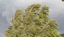 Mohutný orkán sa blíži. Slovensko čaká extrémny vietor, SHMÚ vydáva výstrahy