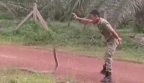 Čo to s ním urobil? Vojak úplne paralyzoval najdlhšieho jedovatého hada na svete