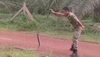 Čo to s ním urobil? Vojak úplne paralyzoval najdlhšieho jedovatého hada na svete