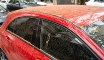 Žltý prášok pokryl autá aj terasy. Vzduch zaplavil peľ borovíc