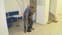 Bizarnejšia krádež sa často nevidí: Čech prešiel s lupom za dva dni iba 200 metrov