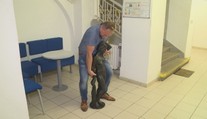 Bizarnejšia krádež sa často nevidí: Čech prešiel s lupom za dva dni iba 200 metrov