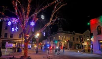 Vodiča, ktorý v USA vrazil autom do sprievodu, obvinia z úmyselného zabitia