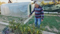 Senior zo Svidníka je príkladom ukážkového záhradkára. Ukázal nám, ako skladuje úrodu