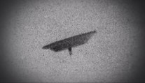 Americká vláda odtajňuje zábery UFO. Niektoré dodnes nemajú vysvetlenie