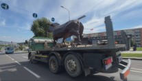 Netradičný náklad na slovenských cestách. Gigantický plechový býk prekvapil vodičov