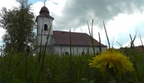 Agresívna huba napadla kostol. Išla na to od podlahy