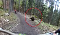 Dvoch cyklistov naháňal v Malinô Brdo medveď. Všetko zachytila kamera