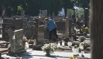 Prišiel upratať hroby svojich blízkych, domov sa už nevrátil. Seniora na cintoríne napadli sršne